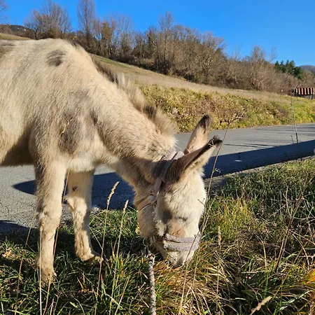 Garfagnana - Ferienwohnung Mit Esel Appartement